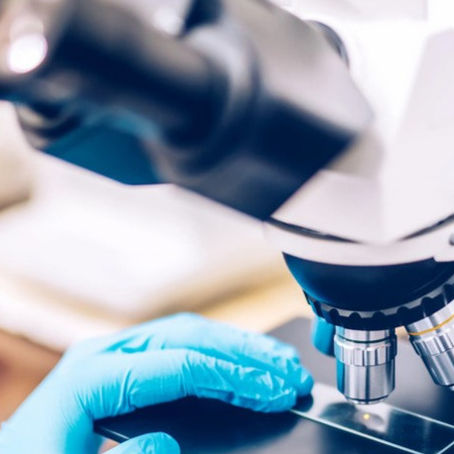 Demystifying the Fertility Test Process: A short guide to why and how fertility testing is done