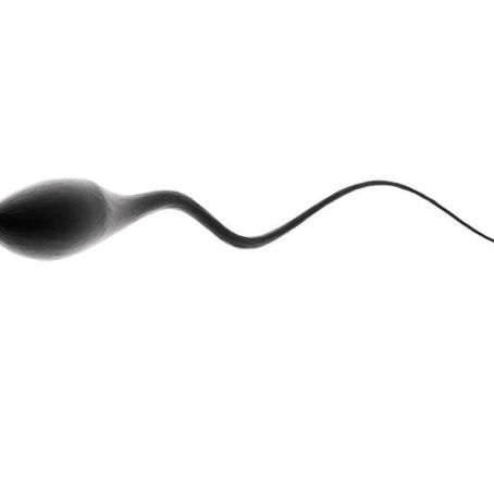 The basics of semen analysis: what you need to know about sperm and how it is tested